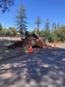 proper safety checkes and measures for electric installation-min