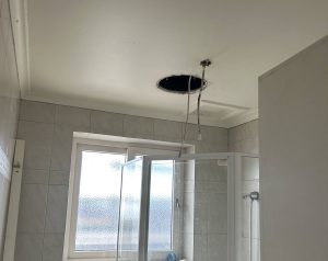 Project Spotlight: Water Damaged property in Glenelg North