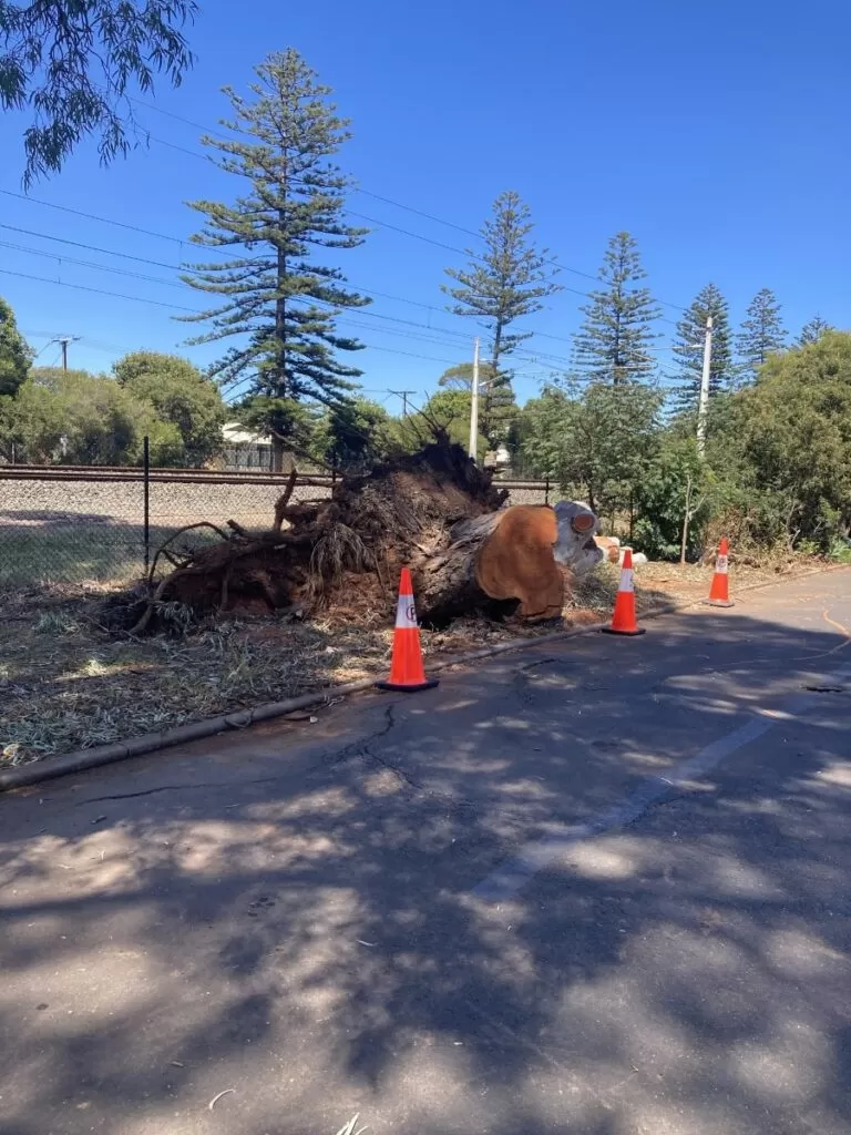 proper safety checkes and measures for electric installation-min